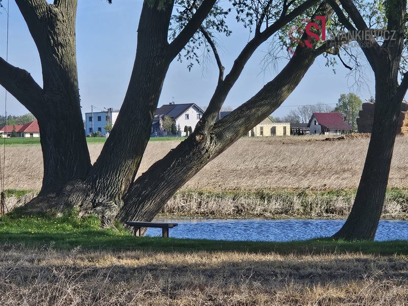 Działka Sprzedaż Gołanice 4