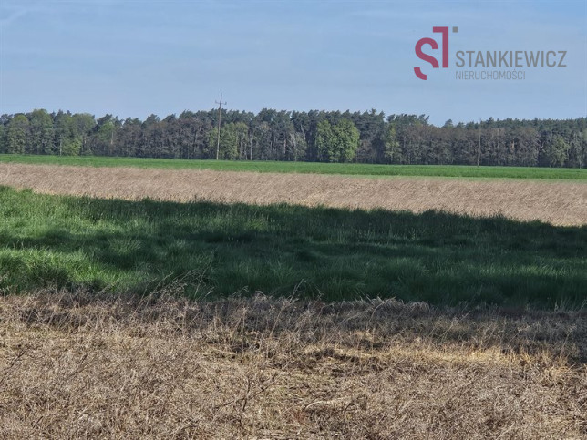 Działka Sprzedaż Gołanice 8