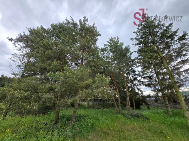 Działka Sprzedaż Żakowo 2