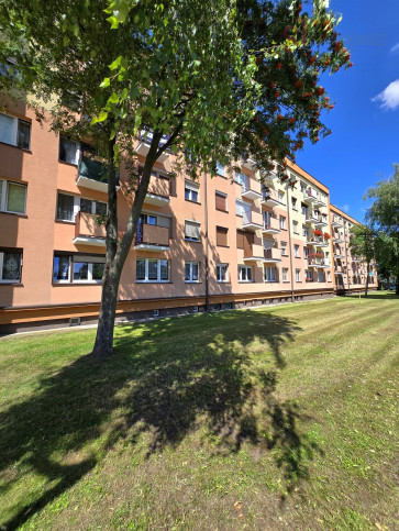 Mieszkanie Wynajem Leszno &nbsp;arkowa 19