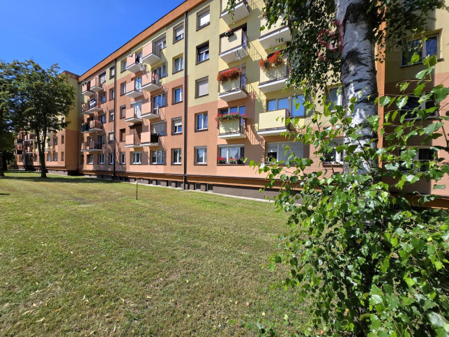 Mieszkanie Wynajem Leszno &nbsp;arkowa 20
