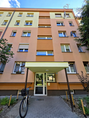 Mieszkanie Wynajem Leszno &nbsp;arkowa 18