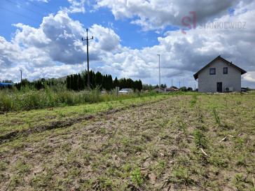 Działka Sprzedaż Lasocice Kolejowa