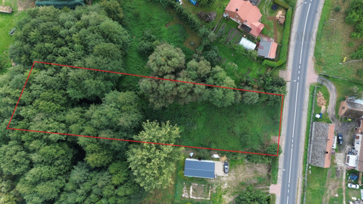 Działka Sprzedaż Lgiń 1