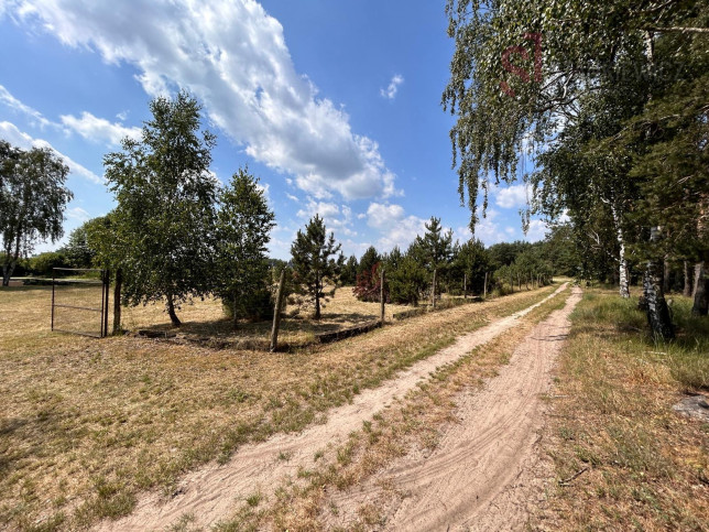 Działka Sprzedaż Tylewice 14