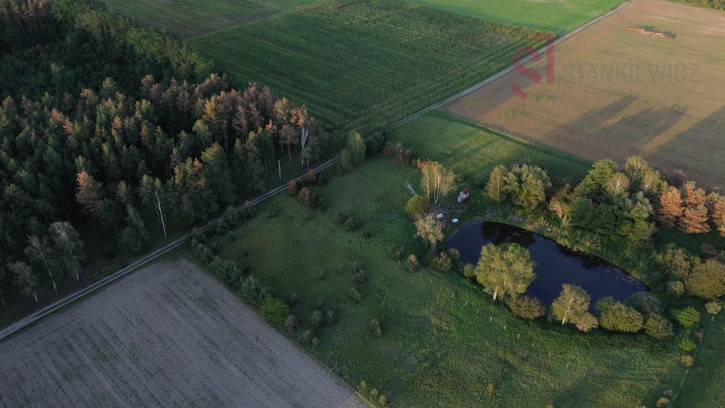 Działka Sprzedaż Tylewice 1